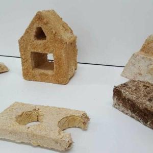 Bouwen met schimmels