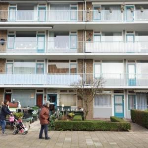 De Vitale  Corporatie - deel 2