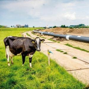 Spanning over het aardgasnet