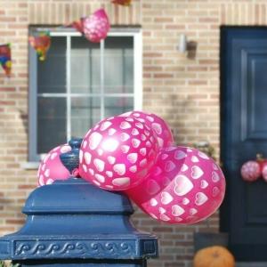 Renovatie is een feestje