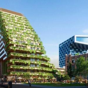 SAWA: het eerste houten (en gezondste) woongebouw van Rotterdam