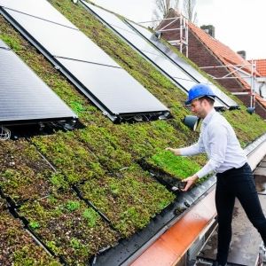 Eerste corporatiewoningen krijgen circulair, groen én betaalbaar dak ROEF®